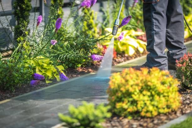 Best Spring Cleaning  in Sachse, TX