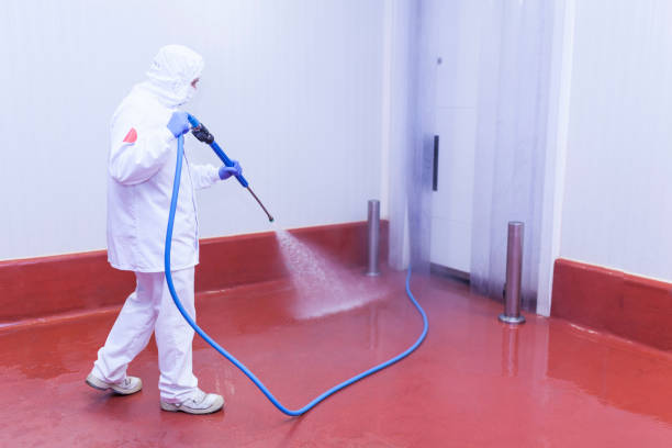 Best Boat and Dock Cleaning  in Sachse, TX