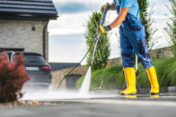 Animal Enclosure Cleaning in Sachse, TX